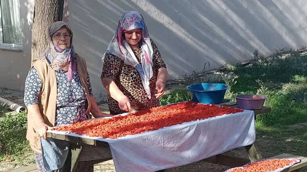 kesanda gelenek yasiyor kislik tarhana hazirliklari hiz kazandi