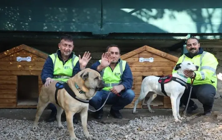 İETT'nin Patili Dostlar Ailesine Yeni Üyeler Katıldı haberi