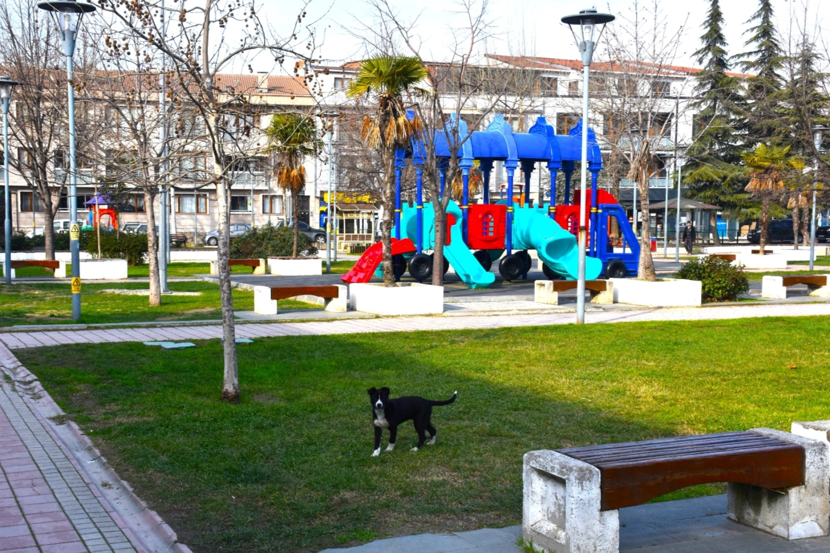 Gemlik'in parklarda çevresi değişiyor güncel haberi