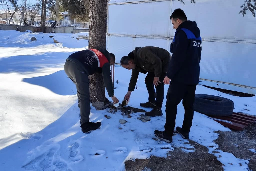 Malatya'da sokak hayvanları unutulmadı güncel haberi