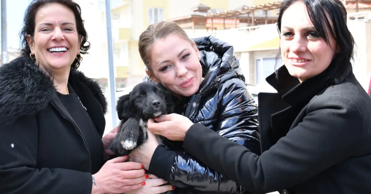 Manisa’da sokak hayvanları için ortak akıl güncel haberi